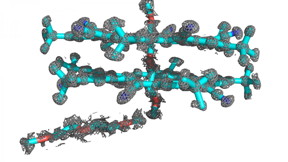 Researchers, led by a team from the Beckman Institute at the University of Illinois, combined the power of two computational programs to determine the atomic structure of the abiological molecule cyanostar. This breakthrough will allow researchers to investigate the structure of more abiological molecules, which are relatively unknown.
CREDIT: University of Illinois