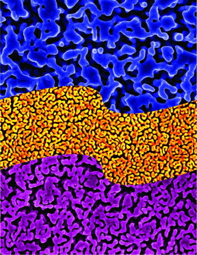 Nanoporous gold contains tiny pores that can filter DNA from other biomolecules. The material can be used to make DNA detection devices for use in diagnostics.
CREDIT: Erkin Seker, UC Davis