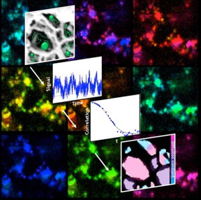 The paths fluorescent particles take as they diffuse through a porous nanoscale structure reveal the arrangement of the pores through a technique developed by scientists at Rice University.
CREDIT: Landes Research Group/Rice University