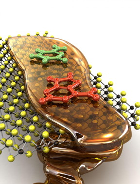 A graphic illustration shows single nucleotides passing through a molybdenum disulfide nanopore film while controlled with a viscous room-temperature ionic liquid.
CREDIT: Aleksandra Radenovic/EPFL