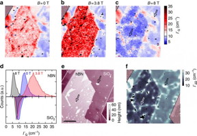 This image shows a sample morphology probed by Raman spectroscopy.
CREDIT: C. Neumann,	S. Reichardt,	P. Venezuela,	M. Drgeler, L. Banszerus, M. Schmitz,	K. Watanabe, T. Taniguchi, F. Mauri, B. Beschoten, S. V. Rotkin & C. Stampfer