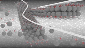 This is a schematic image, showing the PCBM nanoribbons, comprising four PCBM molecules organized side by side. The grey balls represent the fullerene molecules (each consist of 60 carbon atoms), and the attached side arms are characteristic for PCBM molecules. The white 'speed tracks' represent the ability for the nanoribbons to form electronic highways.
CREDIT: Ume University