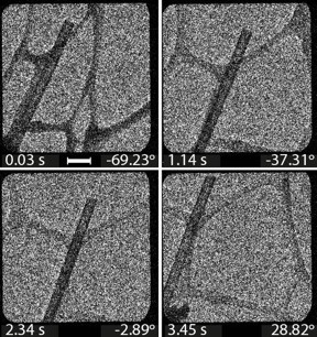 This image series serves as a data basis for the reconstruction of the 3-D electron tomogram.

Copyright: Migunov, V. et al. Sci. Rep. 5, 14516, 2015 (CC BY 4.0)