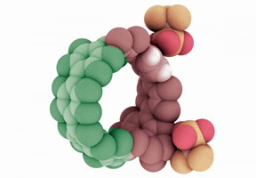 Illustration of a cycloparaphenylene, or nanohoop, that has been doped with nitrogen atoms. Research in the University of Oregon lab of Ramesh Jasti has shown the combination of nitrogen and carbon atoms extends the potential efficiency and capabilities of such structures.

Courtesy of Ramesh Jasti