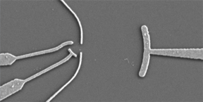 Electron microscope image of the ETH Zurich experiment. Between the quantum dot (left) and the curved electrode (right) electronic standing waves arise, which interact with the electrons of the quantum dot.Photo: Rssler C et al. Physical Review Letters 2015