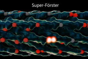 Rendering of a virus used in the MIT experiments. The light-collecting centers, called chromophores, are in red, and chromophores that just absorbed a photon of light are glowing white. After the virus is modified to adjust the spacing between the chromophores, energy can jump from one set of chromophores to the next faster and more efficiently.

Courtesy of the researchers and Lauren Alexa Kaye