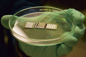 Tunde Akinloye/CNSI
Perovskite solar cells with metal oxide hole and electron transport layers.