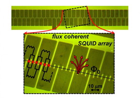 This image shows an optical micro-picture of a small part of a 484 series SQUID array showing 54 SQUIDs and a high resolution picture showing only 11 SQUIDs. The array is fabricated by optical lithography after depositing a YBa2Cu3O7 thin film on a SrTiO3 bicrystal. Each SQUID consists of two Josephson junctions connected in parallel. The Josephson junctions (schematically represented as red crosses) can be seen as 3 micron-wide narrow bridges crossing the bicrystal boundary shown with a dotted line. Each pair of successive SQUIDs is connected in series via inductive large area narrow flux-focusers (one is highlighted with a red U-shape). The flux inside each SQUID hole is quantized. Flux coherency in the array is reached when each SQUID hole is penetrated by the same number of integers of flux quanta.
CREDIT: Boris Chesca / Loughborough University