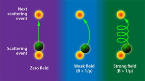 A team of researchers from Argonne's Materials Science Division and Northern Illinois University, working collaboratively with researchers at Argonne's Center for Nanoscale Materials, report two new findings on WTe2: (1) WTe2 is electronically 3-D with a mass anisotropy as low as 2, and (2) the mass anisotropy varies with temperature and follows the magnetoresistance behavior of the Fermi liquid state. The results not only provide a general scaling approach for the anisotropic magnetoresistance but also are crucial for correctly understanding the electronic properties of WTe2, including the origin of the remarkable "turn-on" behavior in the resistance versus temperature curve, which has been widely observed in many materials and assumed to be a metal-insulator transition.
CREDIT: Argonne National Laboratory