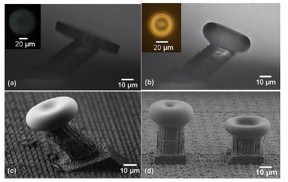 These are microscope images of WGM microcavities fabricated by femtosecond laser 3-D processing.

Science China Press