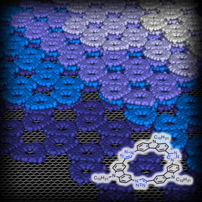 The ring-shaped macromolecule tricarbazolo triazolophane, or "tricarb," self-assembles into highly organized, multilayered patterns.
CREDIT: Indiana University