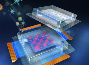 The cover image of the current issue of the journal Lab on a Chip shows an artist's conception of a reusable acoustic tweezers device (bottom) with a disposable microfluidic laboratory for cell manipulation and disease diagnosis.
CREDIT: Huang Lab/Penn State