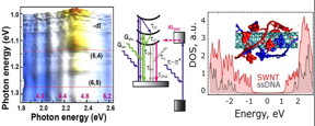 DNA wrapped around nanotube (right inset) is capable to recover after absorbing ultraviolet (UV) radiation by an autoionization process. Experimental two-color fluorescence spectroscopy (left) was combined with quantum mechanical calculations (right and middle inset) to explain the anomalous fluorescence quenching in nanotube under UV illumination.
CREDIT: Slava V. Rotkin, Tetyana Ignatova, Michael Blades, Alexander Balaeff, Ming Zheng and Peter Stoeckl