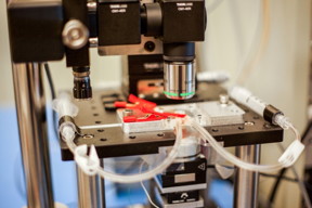 A new high-speed microscope produces images of chemical processes taking place at the nanoscale, at a rate that is close to real-time video. This closeup shot of the microscope shows transparent tubes used to inject various liquids into the imaging environment. This liquid can be water, acid, buffer solution for live bacteria, cells, or electrolytes in an electrochemical process. Researchers use one as an inlet and the other as an outlet to circulate and refresh the solutions throughout an experiment.

Photo: Jose-Luis Olivares/MIT