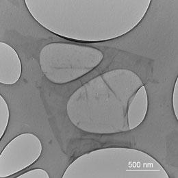 These are graphene flakes in the plastics graphene compound magnified 40.000 times
CREDIT: University of Luxembourg