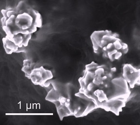 Stanford researchers are using spiky nanoparticles of graphene-coated nickel to create a lithium-ion battery that shuts down when it's too hot, then quickly restarts when it cools (1 =1 micrometer).
CREDIT: Zheng Chen, Stanford University