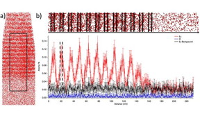 This is a) shows the europium (Eu) distribution of the delta structure (DS) samples with alternating 10-nanometer gallium nitride (GaN) layers and 4-nm GaN:Eu layers. A zoomed in view (b) of the DS sample structure aligns with a plot of the atomic percentage of Eu and oxygen as a function of space. The background signal of Eu is also indicated for reference.
CREDIT: B. Mitchell, D. Timmerman, J. Poplawsky, W. Zhu, D. Lee, R. Wakamatsu, J. Takatsu, M. Matsuda, W. Guo, K. Lorenz, E. Alves, A. Koizumi, V. Dierolf & Y. Fujiwara