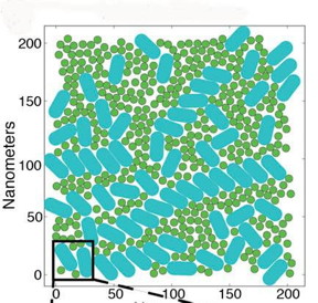 This first computational model to simulate multiple antenna proteins, photosystem II (PSII) complexes are shown as teal pills, and light harvesting complexes (LHC II) are shown as green circles.
Courtesy of Berkeley Lab