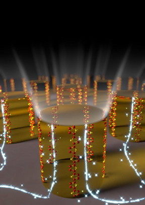 Vertically aligned chains in the organic semiconducting polymer inside microscopic patterns.
CREDIT: Ume University