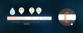 A droplet of the test liquid is applied to the strip (1). The liquid, which spreads along the strip due to capillary action, captures magnetic particles that are "linked" with antibodies to the test protein (2). As they move along the strip, the particles bind to the required protein. The liquid then meets two lines -- the test line (3) and the control line (4). The test line contains antibodies that capture the protein and also the magnetic markers that were bound to it. The control line is activated in any case if the test strip is suitable for use.

Image courtesy of MIPT Press Service.