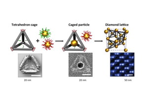 This is a schematic illustration of the experimental strategy: Double stranded DNA bundles (gray) form tetrahedral cages. Single stranded DNA strands on the edges (green) and vertices (red) match up with complementary strands on gold nanoparticles. This results in a single gold particle being trapped inside each tetrahedral cage, and the cages binding together by tethered gold nanoparticles at each vertex. The result is a crystalline nanoparticle lattice that mimics the long-range order of crystalline diamond. The images below the schematic are (left to right): a reconstructed cryo-EM density map of the tetrahedron, a caged particle shown in a negative-staining TEM image, and a diamond superlattice shown at high magnification with cryo-STEM.
CREDIT: Brookhaven National Laboratory