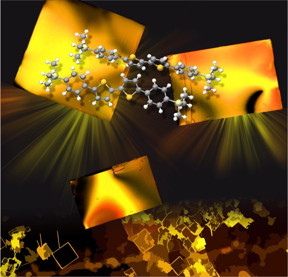 The researchers from the Faculty of Physics of the Moscow State University have grown organic crystals that allow creating flexible electronic devices.
CREDIT: Dmitry Yu. Paraschuk et al.