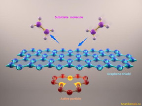 This image shows a graphene layer as an effective chemical shield, which regulates the level of molecular interactions.
CREDIT: AnanikovLab