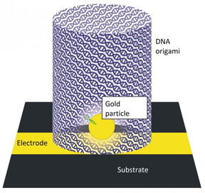 Prototypes for cheaper computer chips are being built with metal-containing DNA origami structures.
CREDIT: Zoie Young, Kenny Lee and Adam Woolley