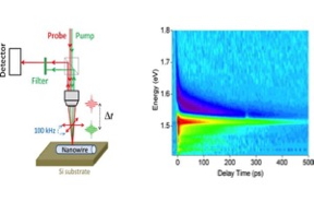 GaAsSb and GaAsSb/InP Nanowire Heterostructures