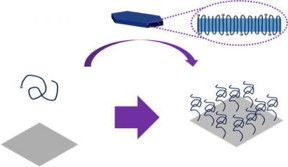 Drexel materials scientist Christopher Li, Ph.D., reports a new way for making polymer nanobrushes that equates to growing a lawn by rolling out sod instead of planting seeds.
CREDIT: Drexel University