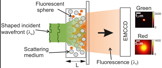 Experimental setup for measuring light falling on and moving through an opaque layer, using fluorescent microscopy to monitor the results.