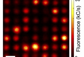 A confocal microscopy image of an array of sensors on a cantilever showing nitrogen-vacancy fluorescence. Credit: UCSB