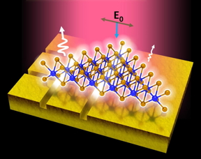 This is a schematic of the light emission from a single crystal monolayer of

tungsten diselenide flake on a gold substrate. Part of the triangular flake rests

on the patterned region of the substrate consisting of sub-20 nm wide trenches.

Photo Credit: Andrew T. S. Wee