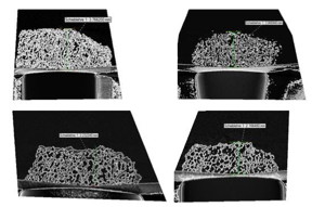 3D images of density and pore-size measurements of an organic specimen:
upper left -14.5 C; upper right 40.0 C; lower left 100.0 C; lower right 160.0 C