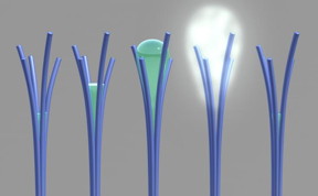 PNNL researchers saw for the first time a phenomenon that was theorized more than 20 years ago. Shown here is a PNNL illustration of the phenomenon, "solvent cavitation under solvo-phobic confinement," which PNNL researchers saw occur with carbon-rich nanorods they mistakenly created. PNNL's viewing of the phenomenon involved liquid spontaneously evaporating after being confined within tiny spaces in between touching nanorods. Image from S. Nune et al, Nature Nanotechnology, 2016.
CREDIT: Pacific Northwest National Laboratory