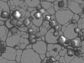 The image above illustrates the data quality we get routinely  crystals of cytoplasmic polyhedrosis virus (CPV20). The crystals shown here are in the size range 2.5 to 5 m. 