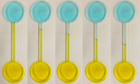 Continuous motion of a self-propelling liquid metal droplet under a pH gradient, shown at different time intervals. The droplet is placed in a fluidic channel, midway between two reservoirs filled with different electrolytes of acidic and basic nature.
CREDIT: RMIT University