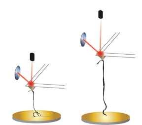 The tip of an atomic force microscope on a cantilevered arm is used to pull a graphene nanoribbon the same way it would be used to pull apart a protein or a strand of DNA in a Rice University lab. The microscope can be used to measure properties like rigidity in a material as it's manipulated by the tip.Credit: Kiang Research Group/Rice University