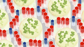 he best of both worlds. A new nanomaterial acts as both battery and supercapacitor: A conductive polymer (green) formed inside the small holes of a hexagonal framework (red and blue) works with the framework to store electrical energy rapidly and efficiently. Credit: William Dichtel, Northwestern University