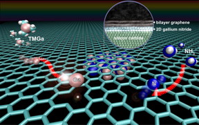 This is an illustration of the Migration Enhance Encapsulated Growth (MEEG) process to stabilize novel wide-bandgap two-dimensional nitride semiconductors that are not naturally occurring. MEEG is facilitated by defects in the graphene lattice that act as pathways for intercalation. When the gallium and nitrogen adatoms meet at the graphene/SiC interface, they chemically react to form two-dimensional gallium nitride.
CREDIT: Z. Al Balushi and Stephen Weitzner, Penn State MatSE