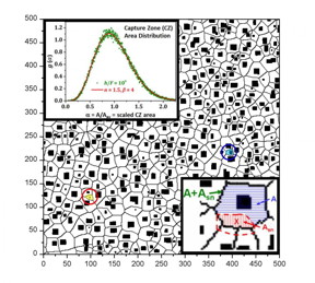 Capture zones (CZs) constructed to surround 2-D islands (black rectangles) formed by deposition on a perfect surface. CZ boundaries are indicated by thin lines. The CZs completely cover or tessellate the surface with one CZ per island. A small CZ formed directly by nucleation of a new island near the center of a triangle of existing islands is shown in yellow. Another small CZ formed by corralling of the central island is shown in blue. The lower inset shows how nucleation of a new island (at the X) modifies the CZ distribution. The upper inset shows the distribution of scaled CZ areas.
CREDIT: Yong Han, Maozhi Li and James W. Evans