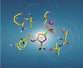 Neutron crystallography aids in drug design.
CREDIT: M. P. Blakeley