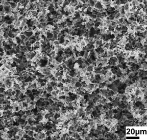 The targeted etching process of "nanoscale-sculpturing" roughens the upper layer of metal (here aluminium, 20 μm = 0.02 mm), thereby creating a 3-D structure with tiny hooks. A surface treated with this process can inter-lock like a three-dimensional puzzle with the surfaces of almost all other materials, forming unbreakable bonds. With this method, it is even possible to create bonds between aluminum and copper.
CREDIT: Melike Baytekin?Gerngross