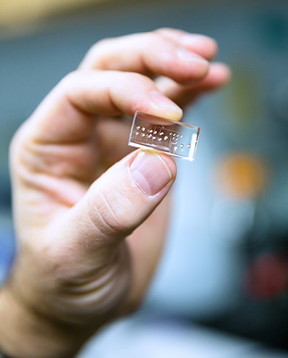 A new optofluidic platform for biological sample processing and optical analysis is made of polydimethylsiloxane (PDMS) and features tunable optics and novel 'lightvalves.' Photo by C. Lagattuta