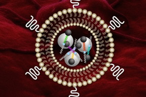 MIT researchers have designed nanosensors that can profile tumors and may yield insight into how they will respond to certain therapies.

Illustration: Christine Daniloff/MIT