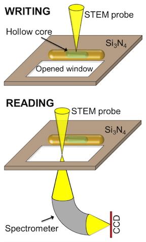 Rice scientists used a scanning/transmission electron microscope to read and write the interior of a nanorod. By repeatedly reconfiguring the contents of its hollow core, they were able to adjust its plasmonic properties. They said the discovery could lead to a new type of multistate memory or tunable sensors or catalysts. Courtesy of the Ringe Group