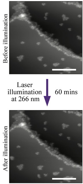 Scanning tunneling microscope images of nanoroadsters on a copper surface show movement of the molecules after illumination with a 266-nanometer laser and at 161 Kelvin (-170 degrees Fahrenheit). The three-wheeled, single molecule vehicles were synthesized at Rice University and tested at the University of Graz.Credit: Alex Saywell/Leonhard Grill