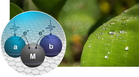 In a light harvesting quantum photocell, particles of light (photons) can efficiently generate electrons. When two absorbing channels are used, solar power entering the system through the two absorbers (a and b) efficiently generates power in the machine (M).
CREDIT
Nathaniel Gabor and Tamar Melen
