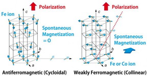 Portions of the BiFeO3 lattice of cycloidal and collinear phases with only Fe ions are shown at left and right, respectively. The arrows indicate the Fe3+ moment direction. The ground state of BiFeO3 had a cycloidal spin structure, which is destabilized by substitution of Co for Fe and at higher temperatures. The spin magnetic moments compensate with each other in the left panel, but canting between neighboring spins leads to the appearance of weak ferromagnetism in the left panel.
CREDIT
Tokyo Institute of Technology