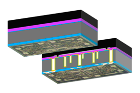 Schematic internal view of the backside
shield of a secure IC